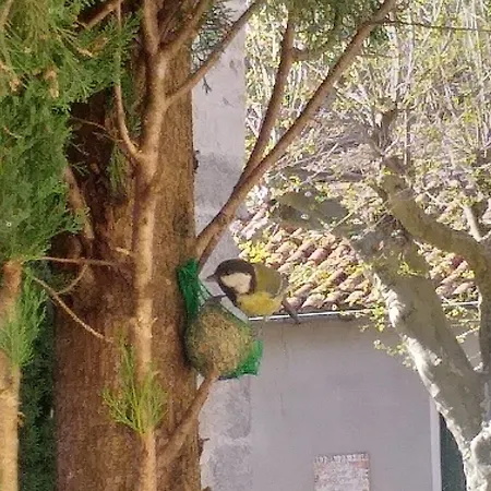 Hotel La Grange Templiere