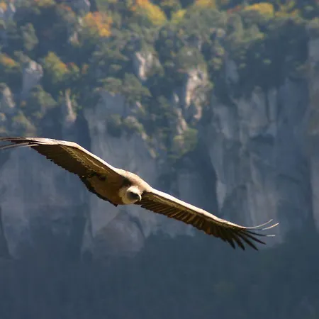 Hotel La Grange Templiere *