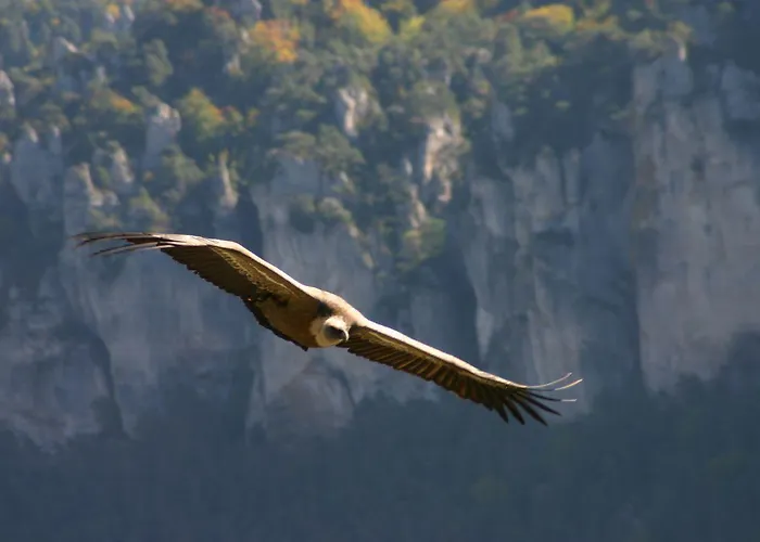 Hotel La Grange Templiere *