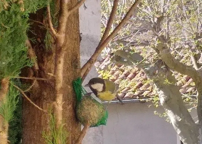 Hotel La Grange Templiere